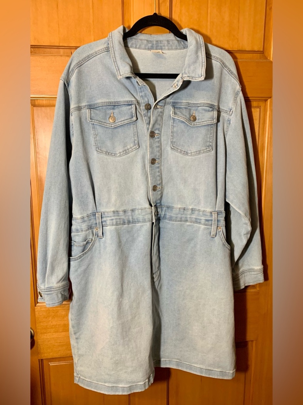 Terra & Sky Light Blue Denim Dress